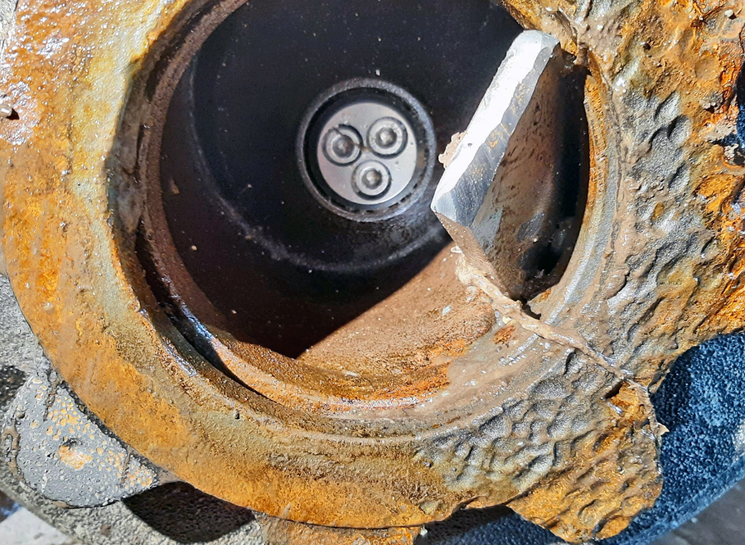 丹麥布蘭迪 馬鈴薯工廠廢水系統緊急異物排除