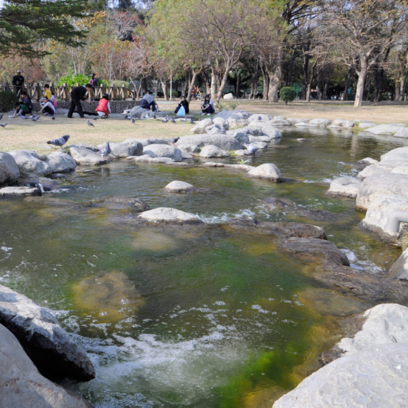 台灣高雄 全球八大最美地鐵中央公園站工程案
