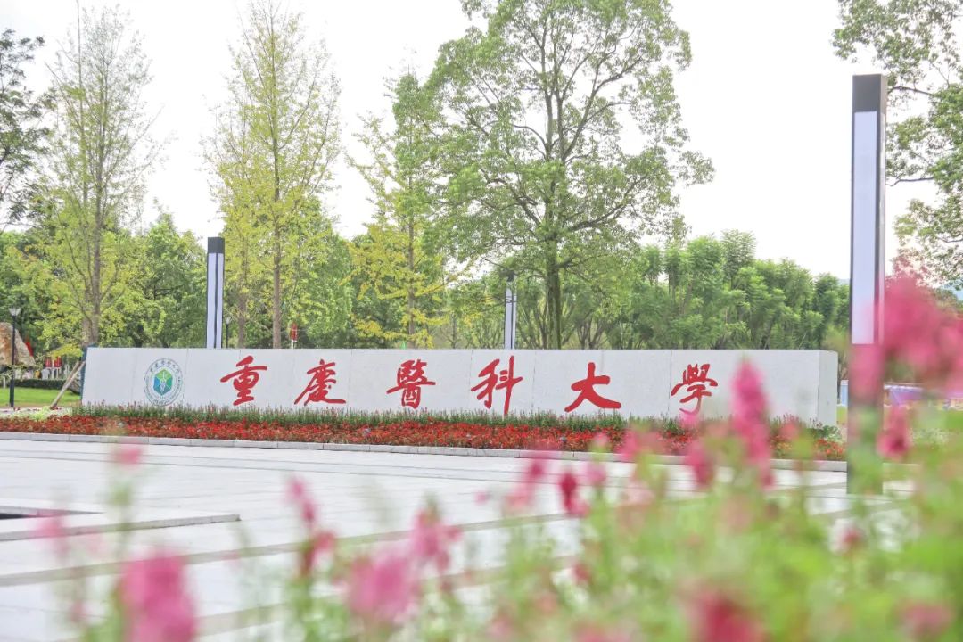 中國重慶 醫科大學污水系統改造