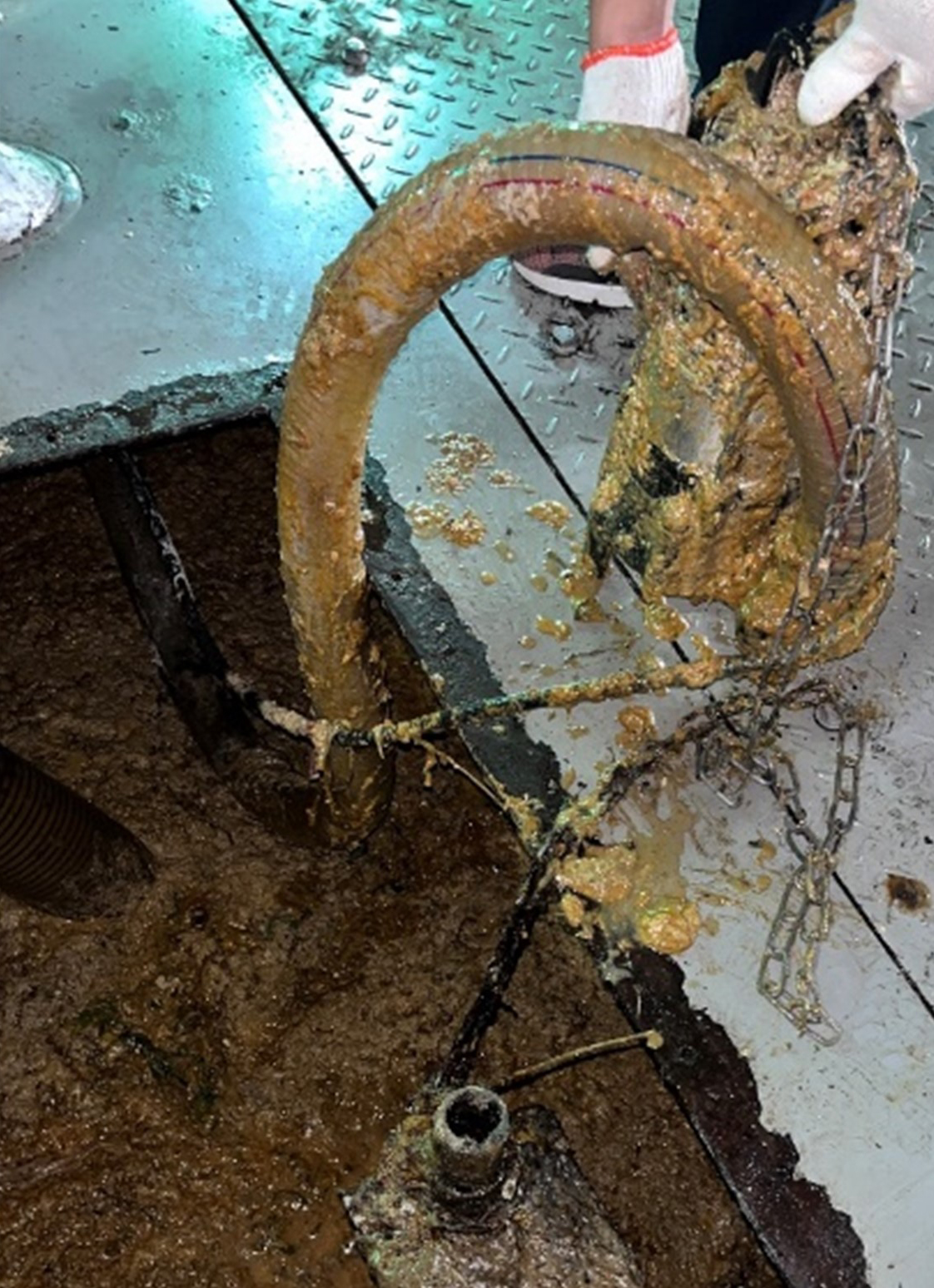 中國深圳 福田區餐廚垃圾處理站