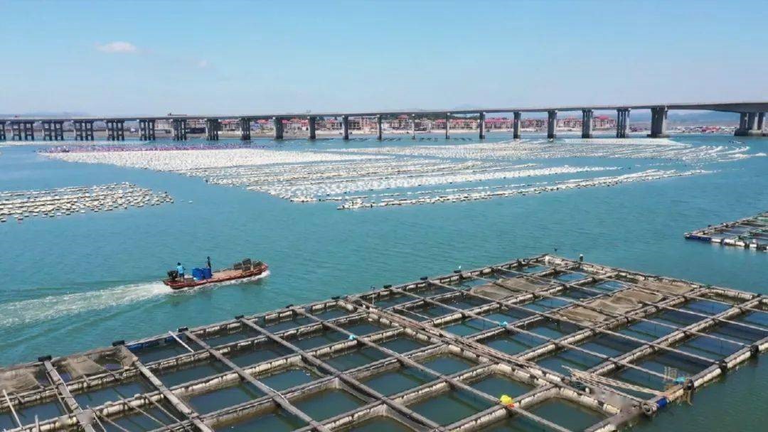 中國漳州 漳浦海水養殖項目